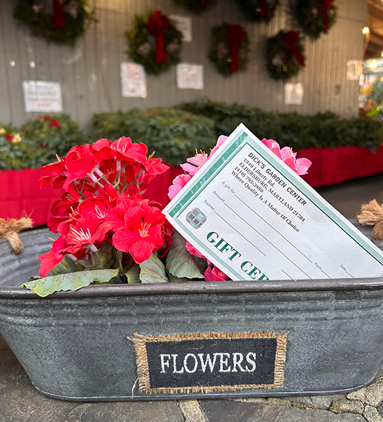 Dicks-Garden-Center-Gift-Certificate