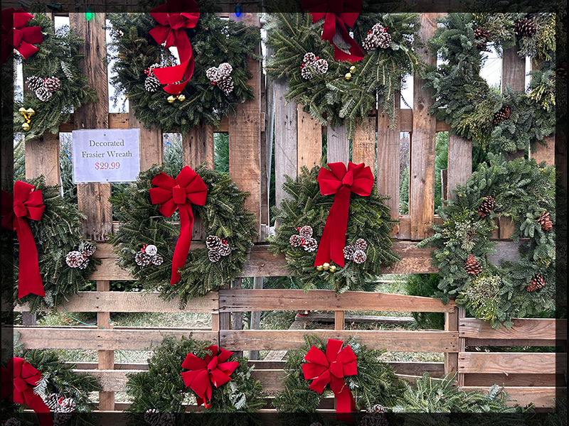 xmas wreaths trees garland